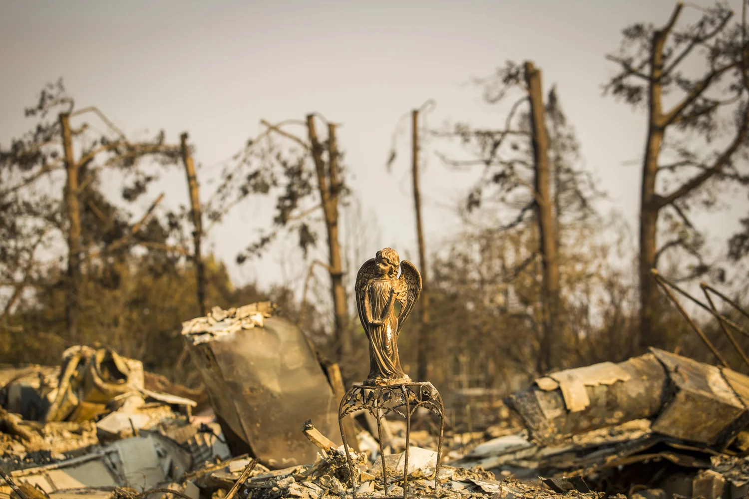 Fire aftermath in the Coffey Park neighborhood Oct. 12, 2017 in Santa Rosa, CA.