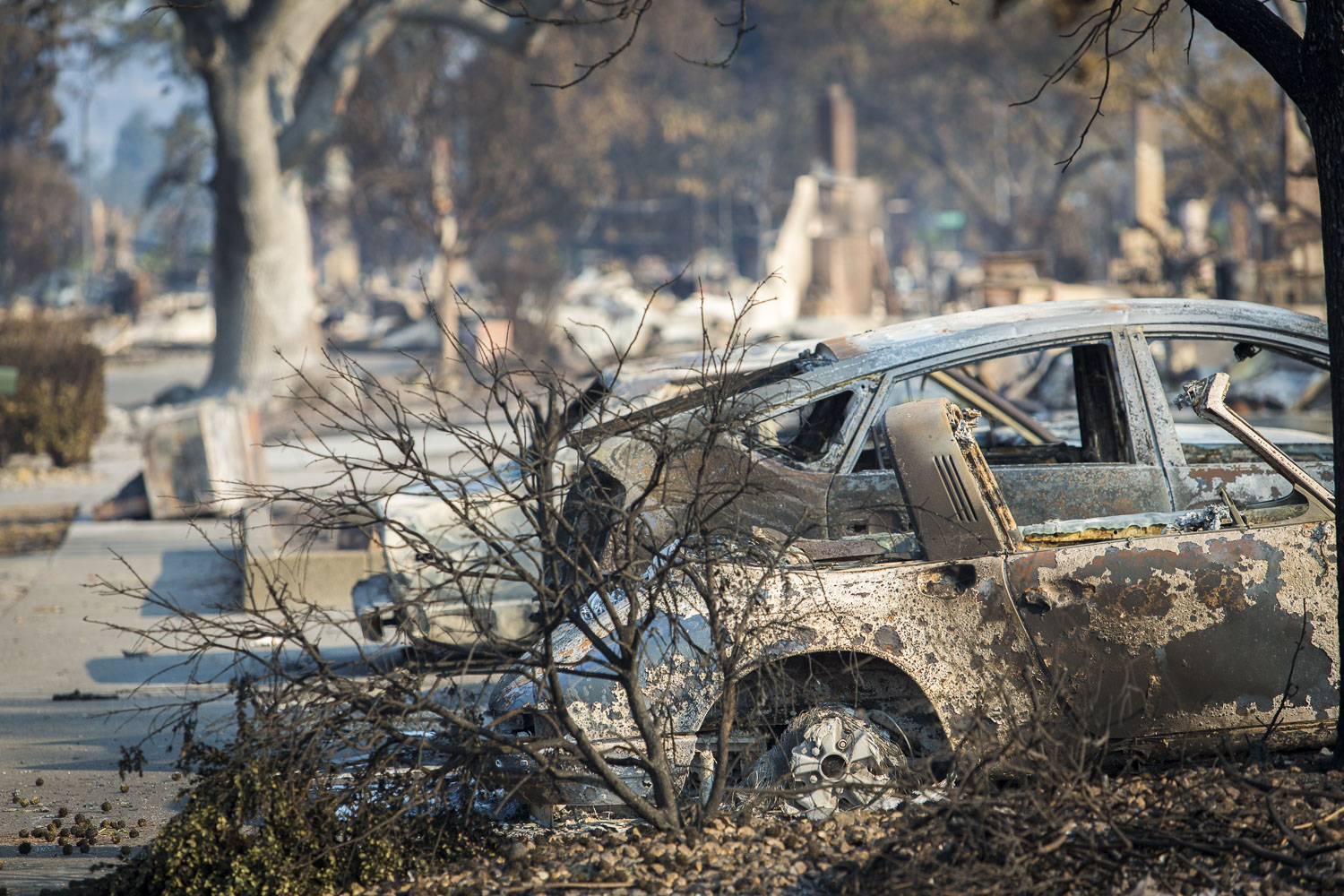  Fire aftermath in the Coffey Park neighborhood Oct. 13, 2017 in Santa Rosa, CA. 