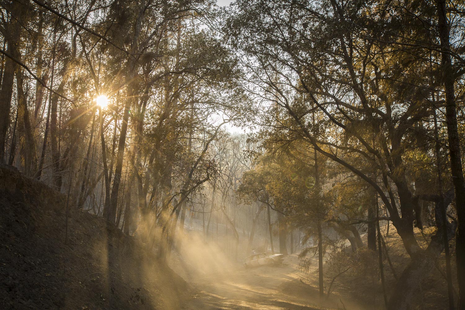  A burned car sits on the road to the Monroe family property, destroyed by wildfire in a secluded neighborhood off Tomki Road Oct. 15, 2017 in Redwood Valley, CA. 