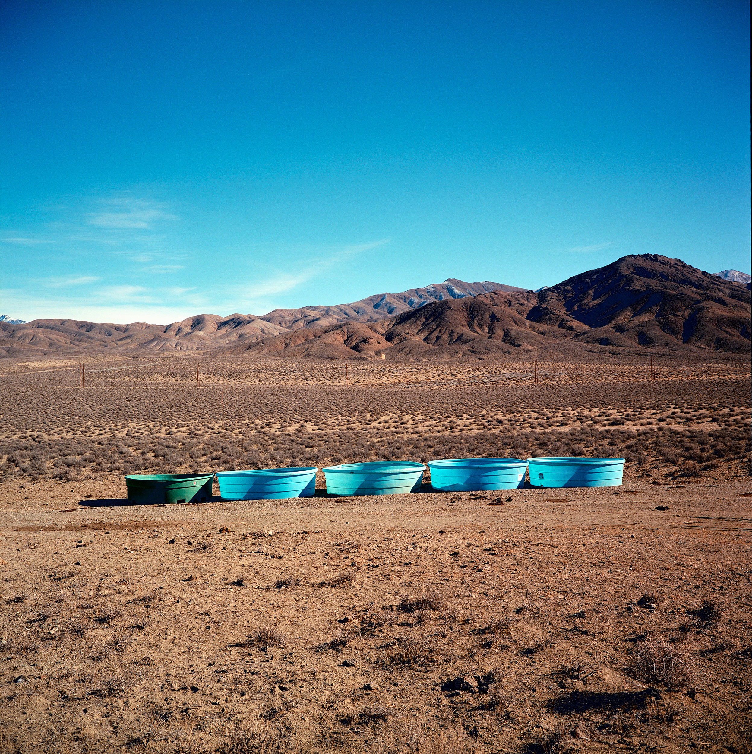  Cattle watering troughs near Dixie Valley, Nevada. 