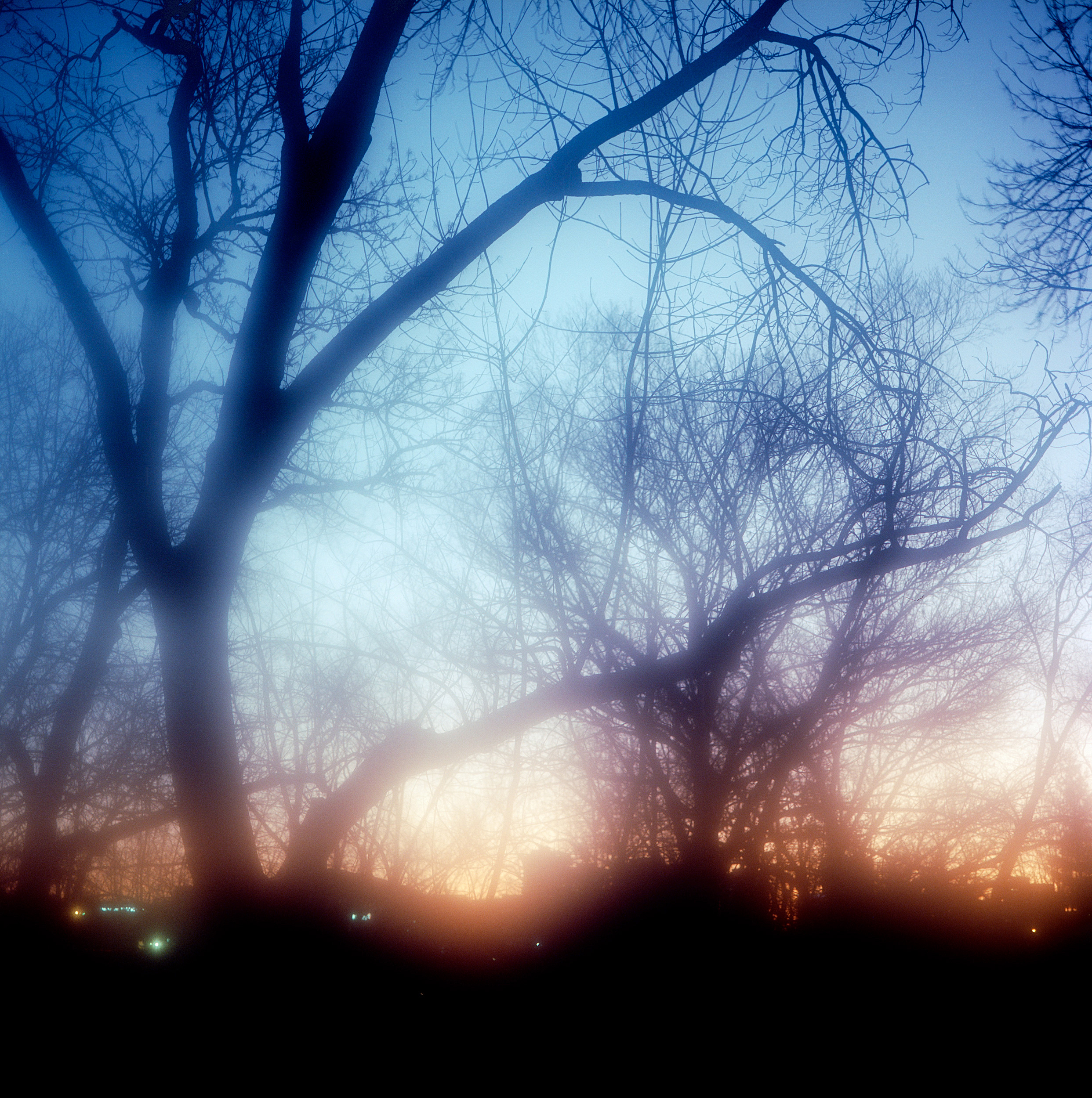 Sunrise, Ladue, Missouri.
