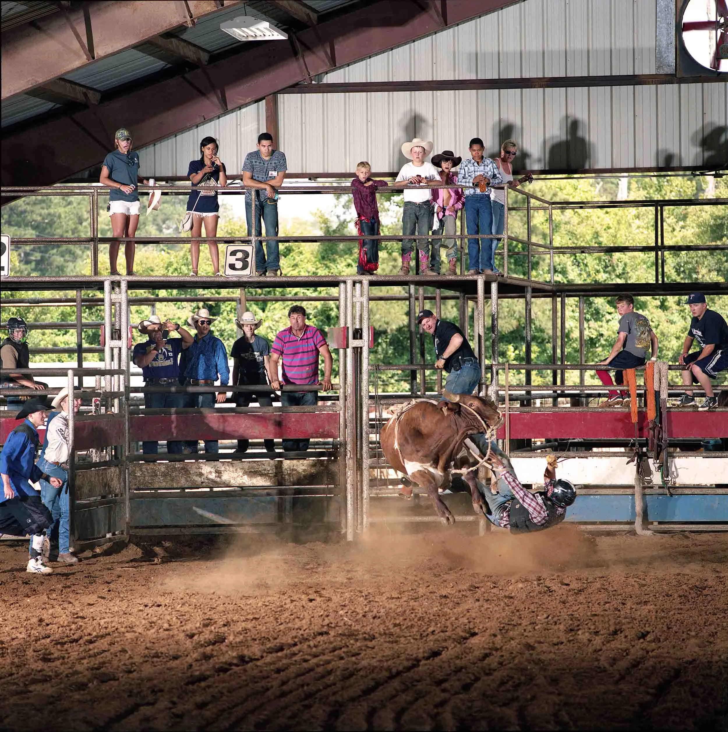 Bull Riding School