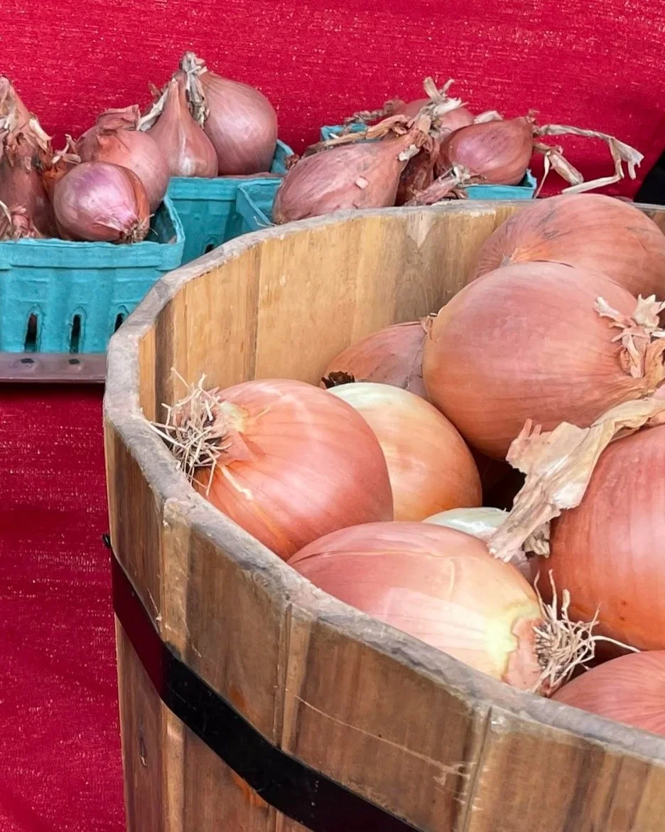 Oregon Onions — Hillsdale Farmers Market
