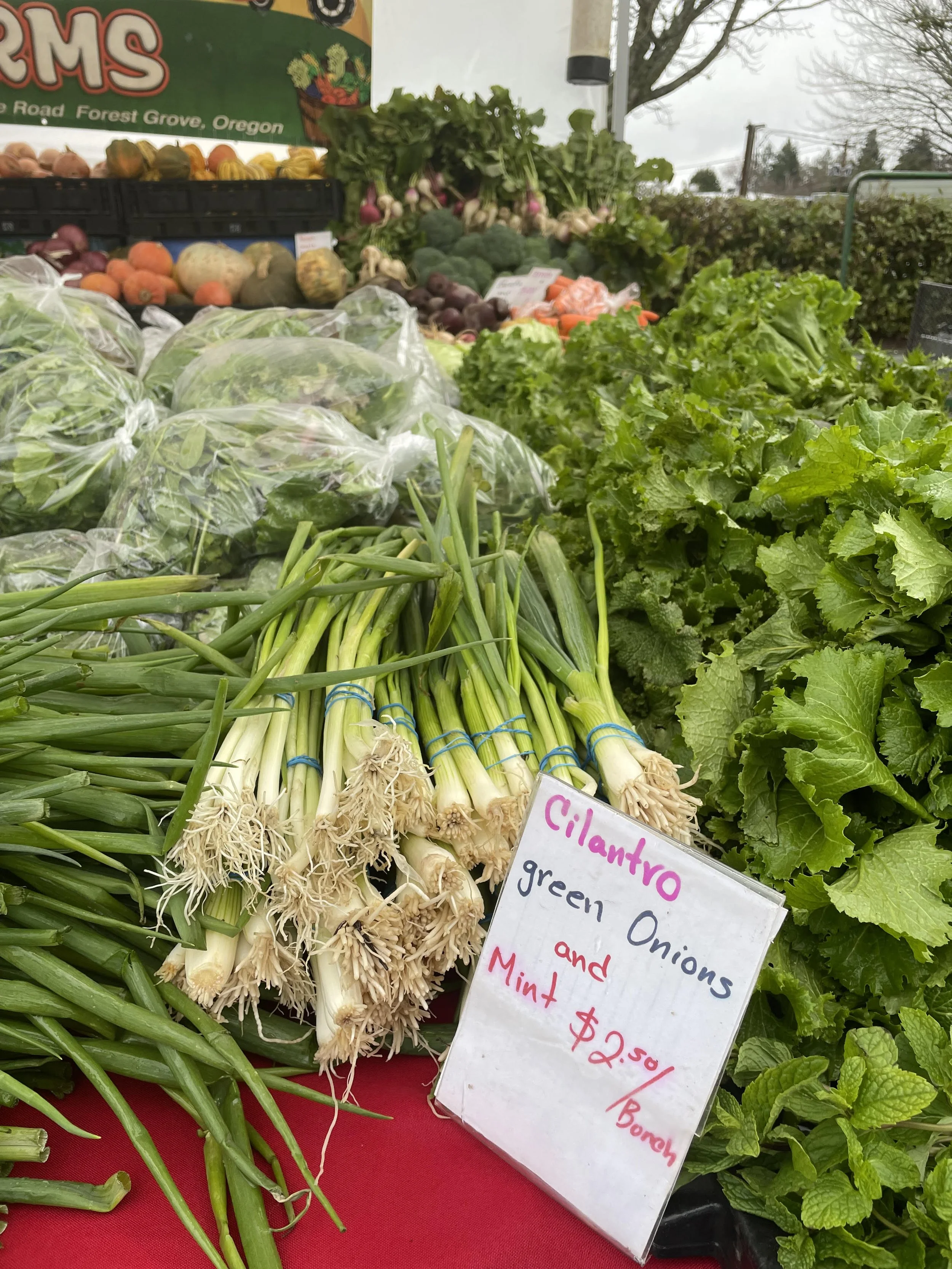 Oregon Onions — Hillsdale Farmers Market