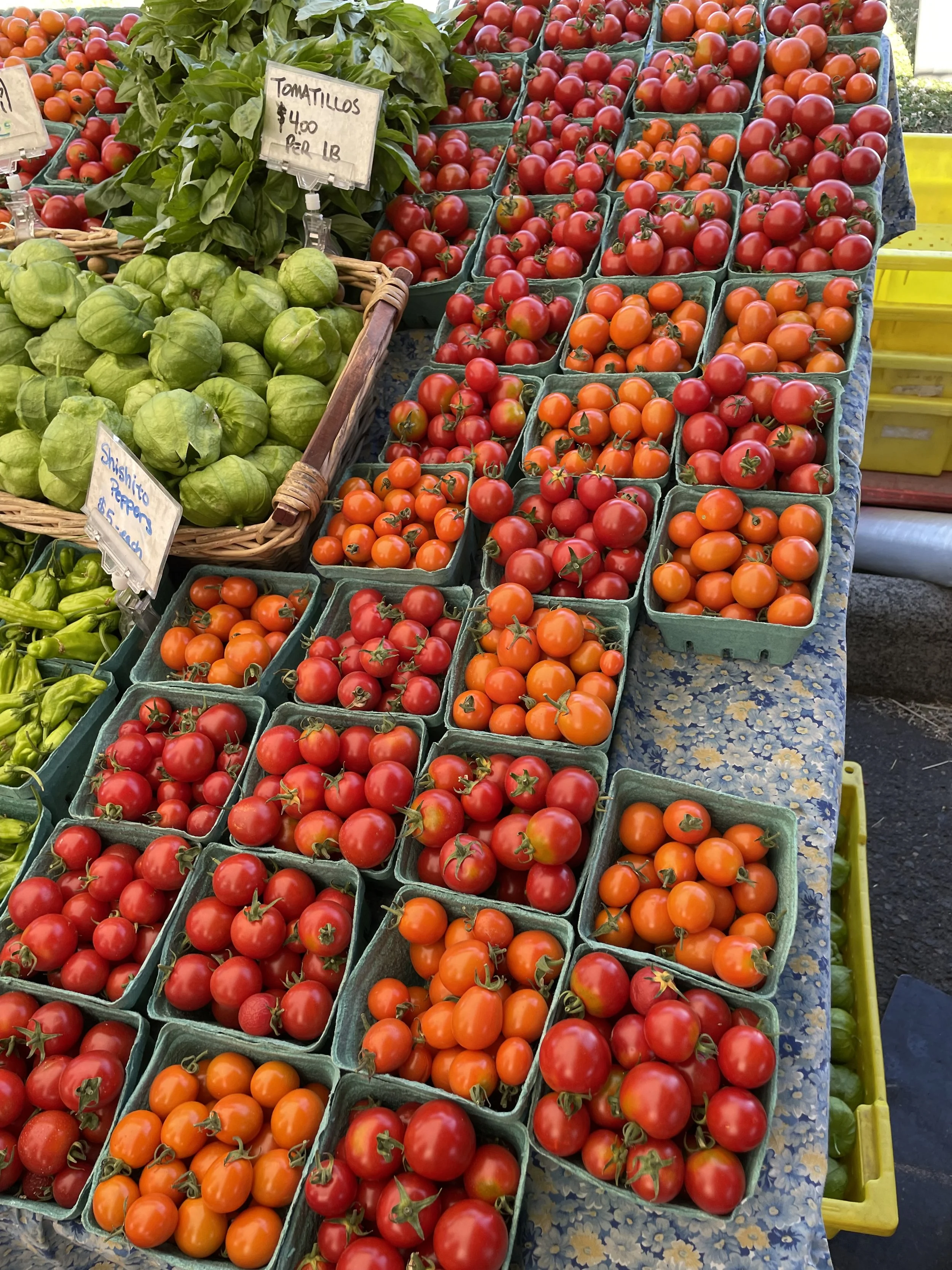 Celebrating National Farmers Market Week — Hillsdale Farmers Market
