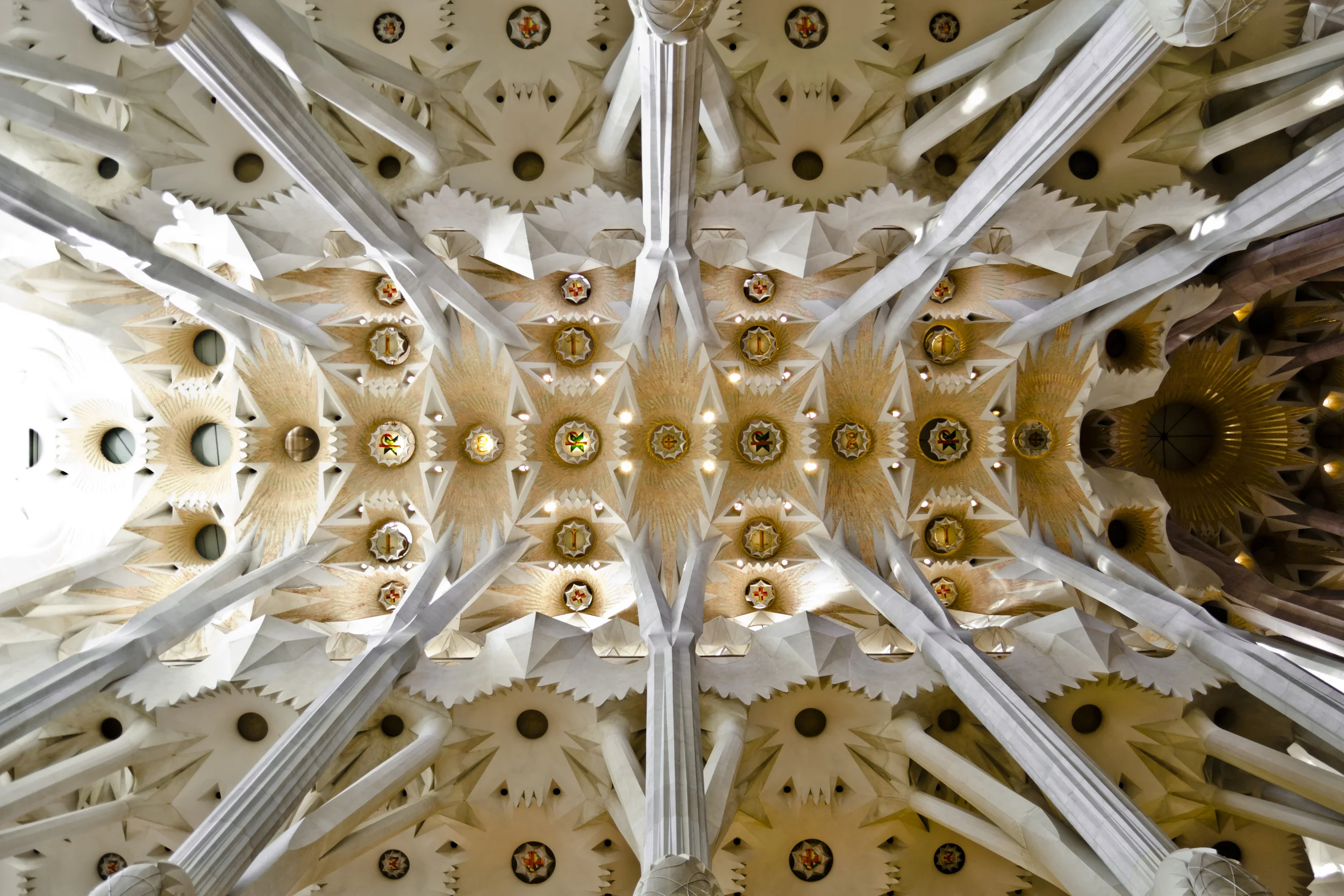 Sagrada Famillia Ceiling Tree Columns 2.JPG
