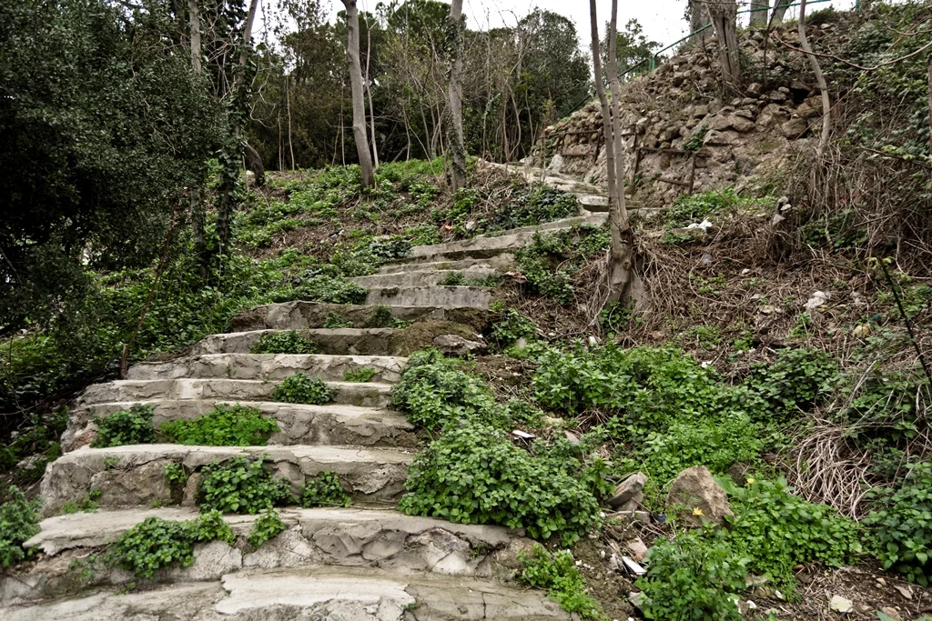 Steps up to Peak.JPG