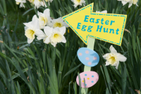 easteregghunt.jpg