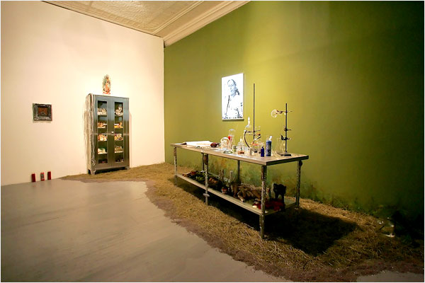The Curandera's Botanica , 2008, P.S. 1 Contemporary Art Center, Photo by Nicole Bengiveno for NYT