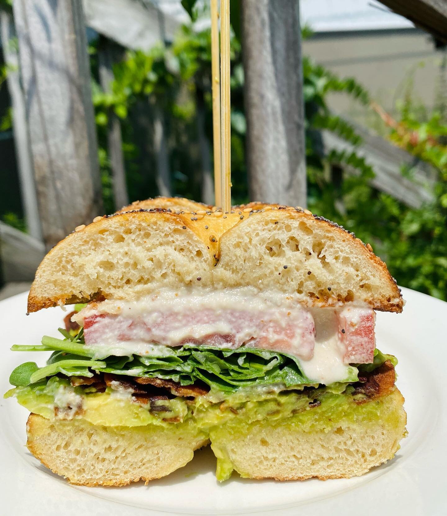 AVO BAGEL BLT 🥯 on special on this beautiful Saturday in Avon! Avocado, coconut bacon, arugula, tomato, cashew mayo, all piled up on a griddled everything spelt bagel. LIMITED SUPPLIES! Get them while they&rsquo;re hot! 🥳