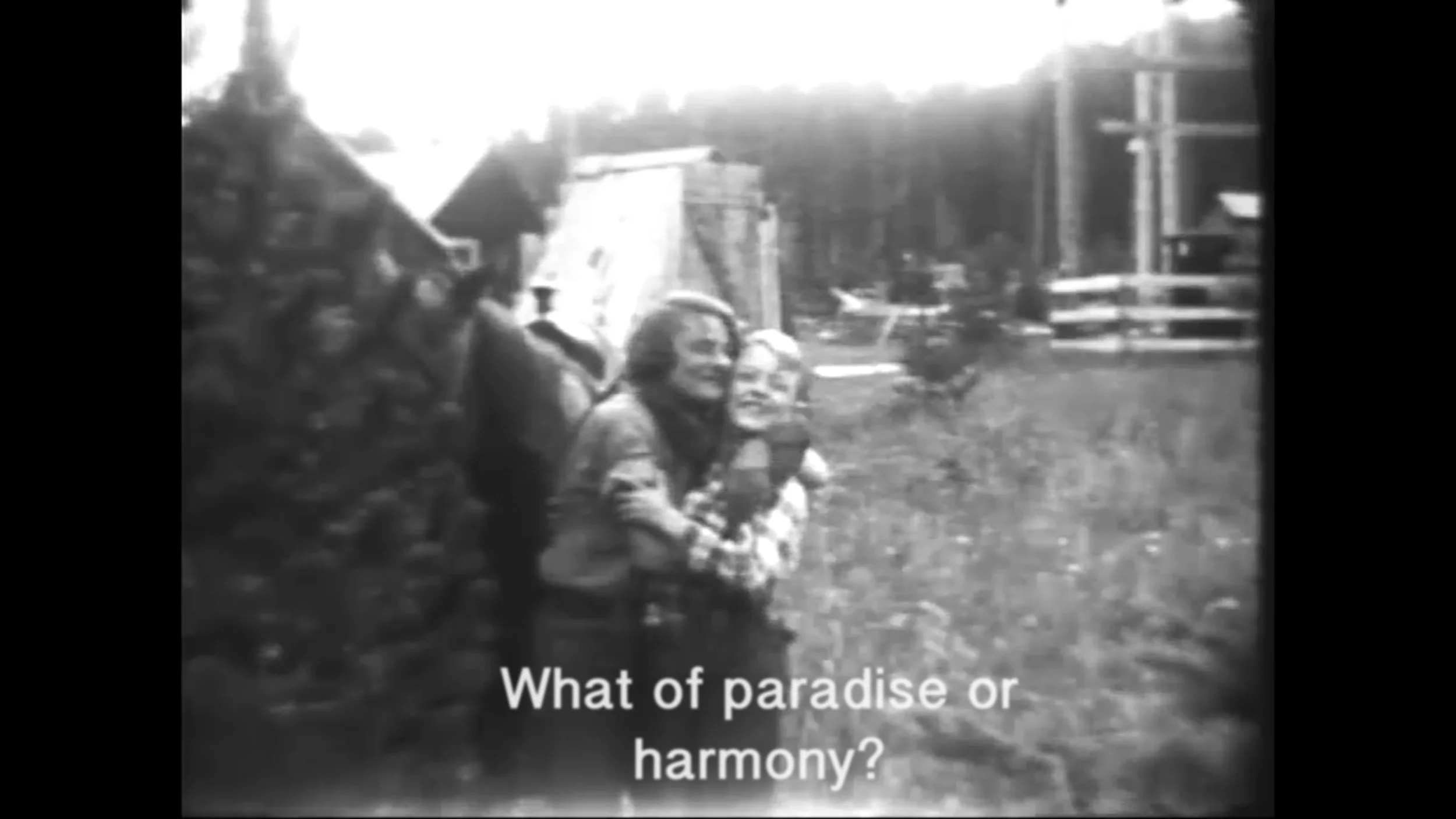 paradise-harmony.jpg