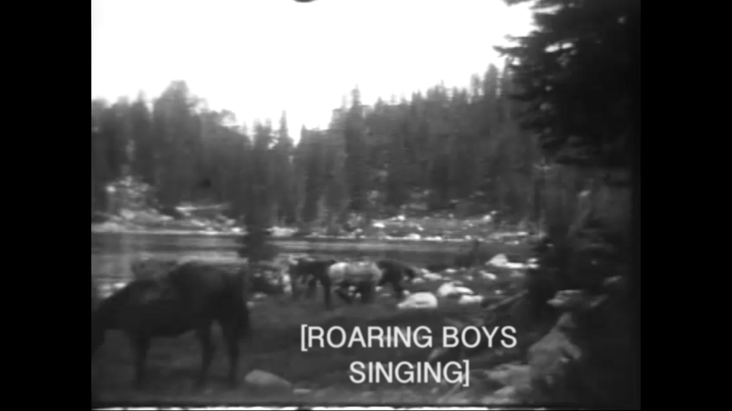 roaringboys.jpg