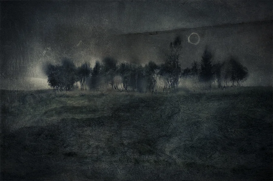 The Moon Rose Over an Open Field