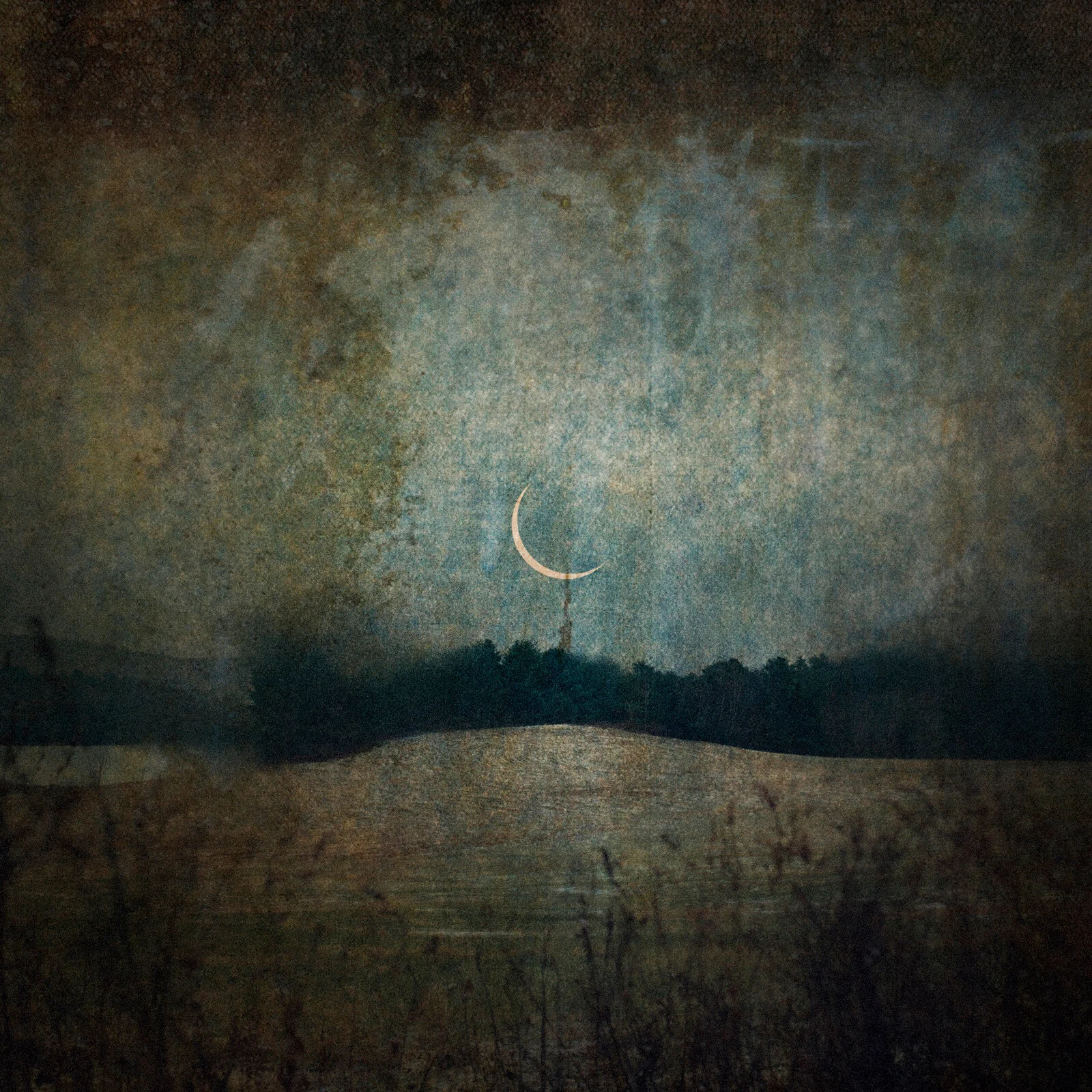 Meadow Moon  
Photomontage  
10 x 10 inches  
2017