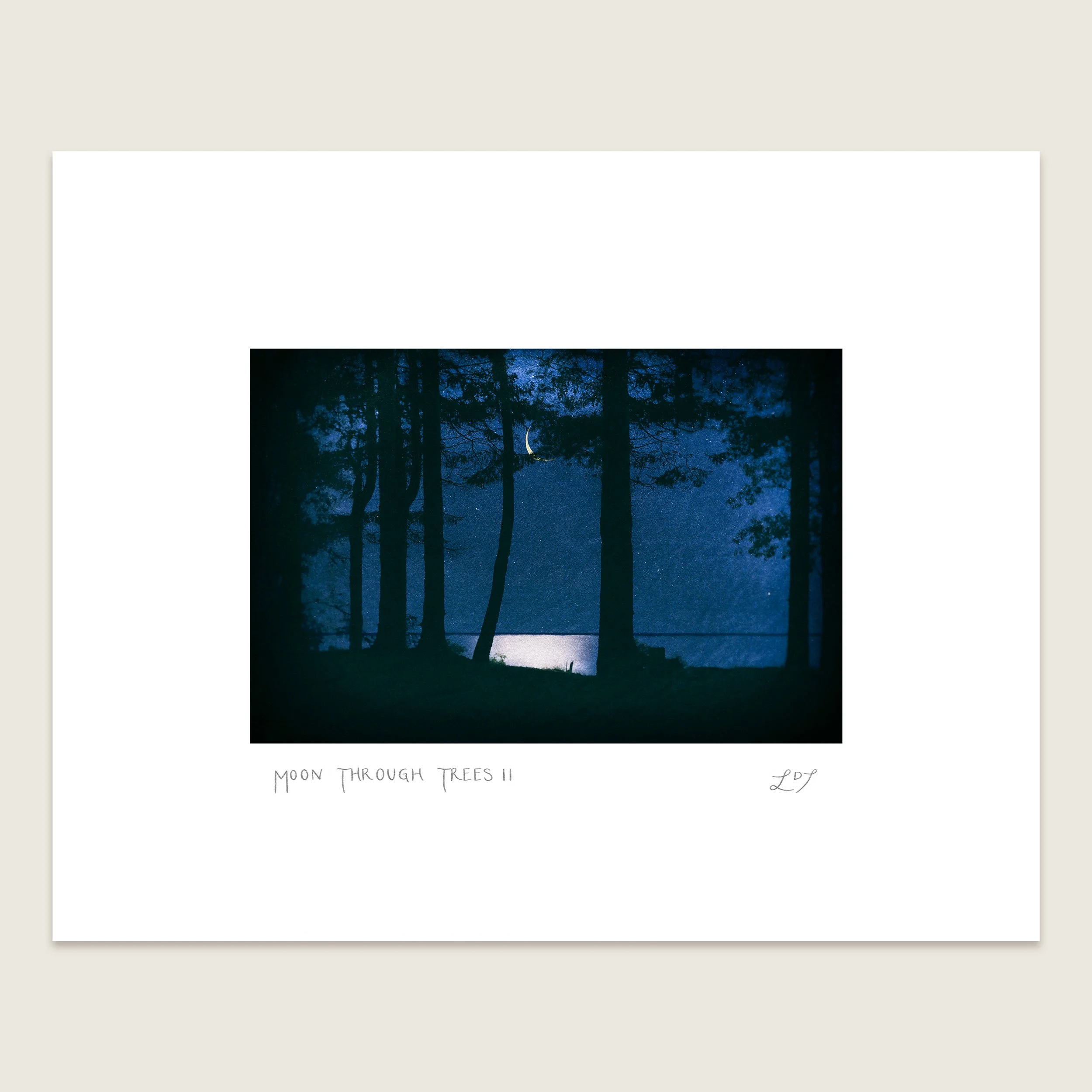 LDT_MoonThroughTreesII_8x10.jpg