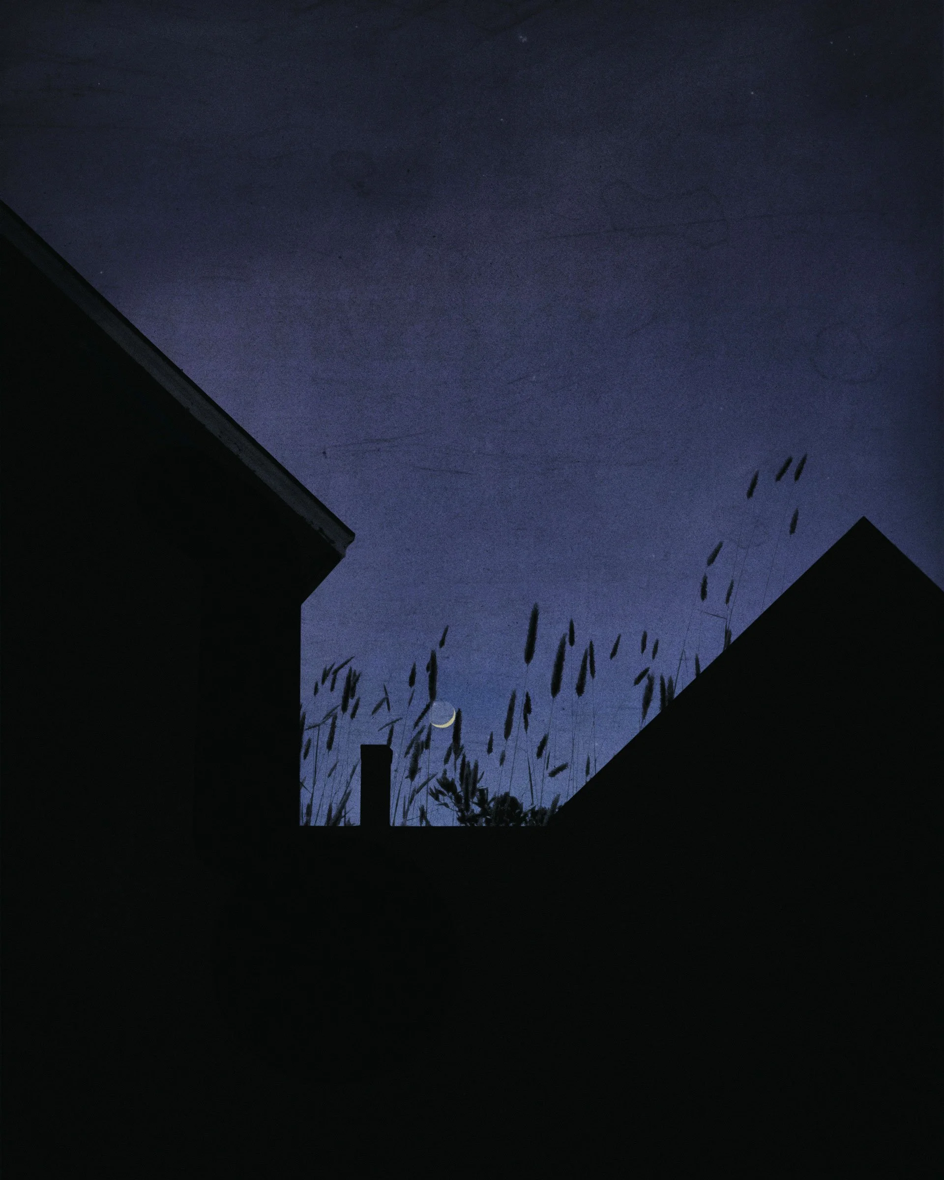 Nightdraw , 2025
16 x 20 inches