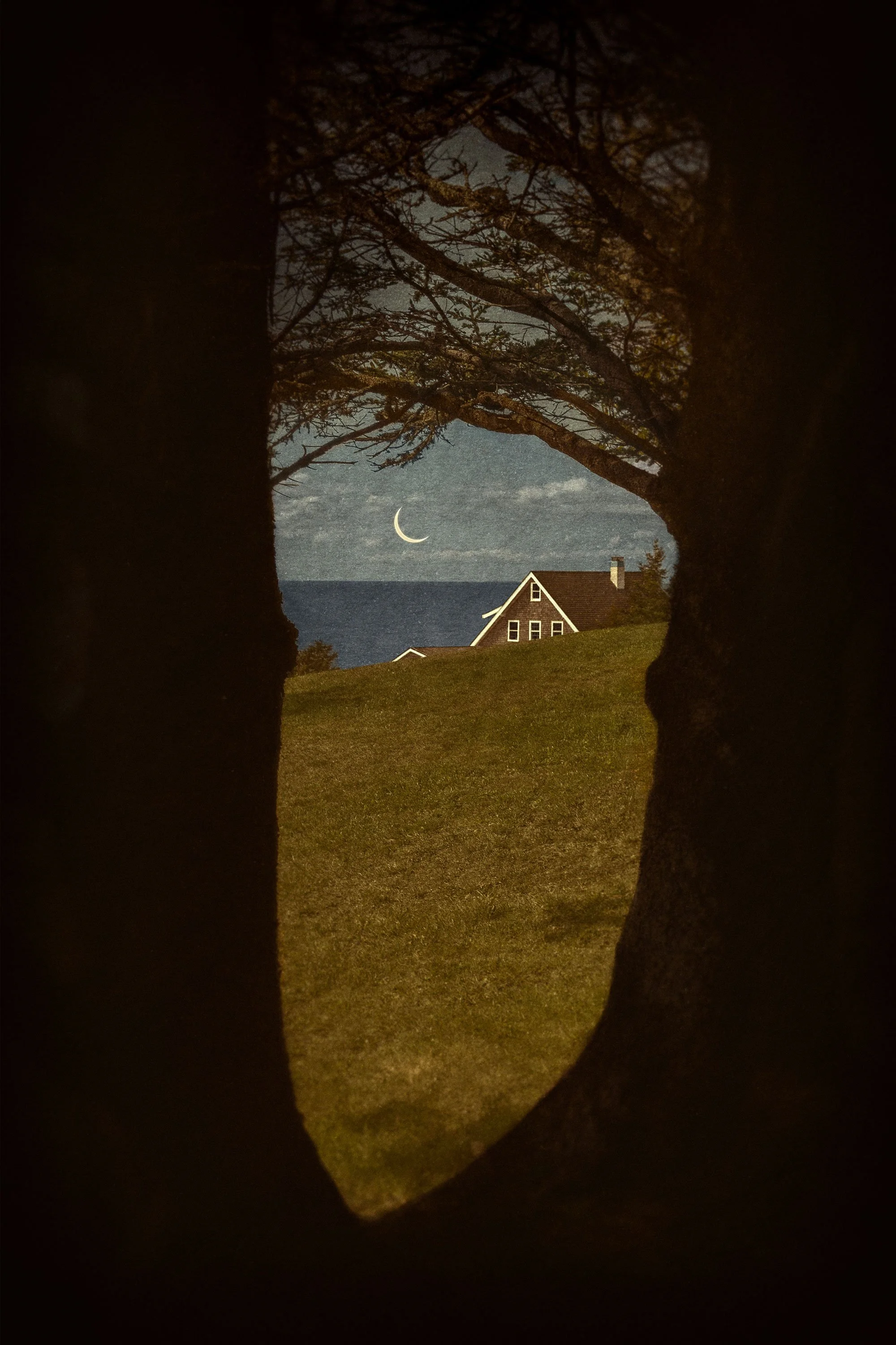 Through the Trees , 2025
24 x 16 inches