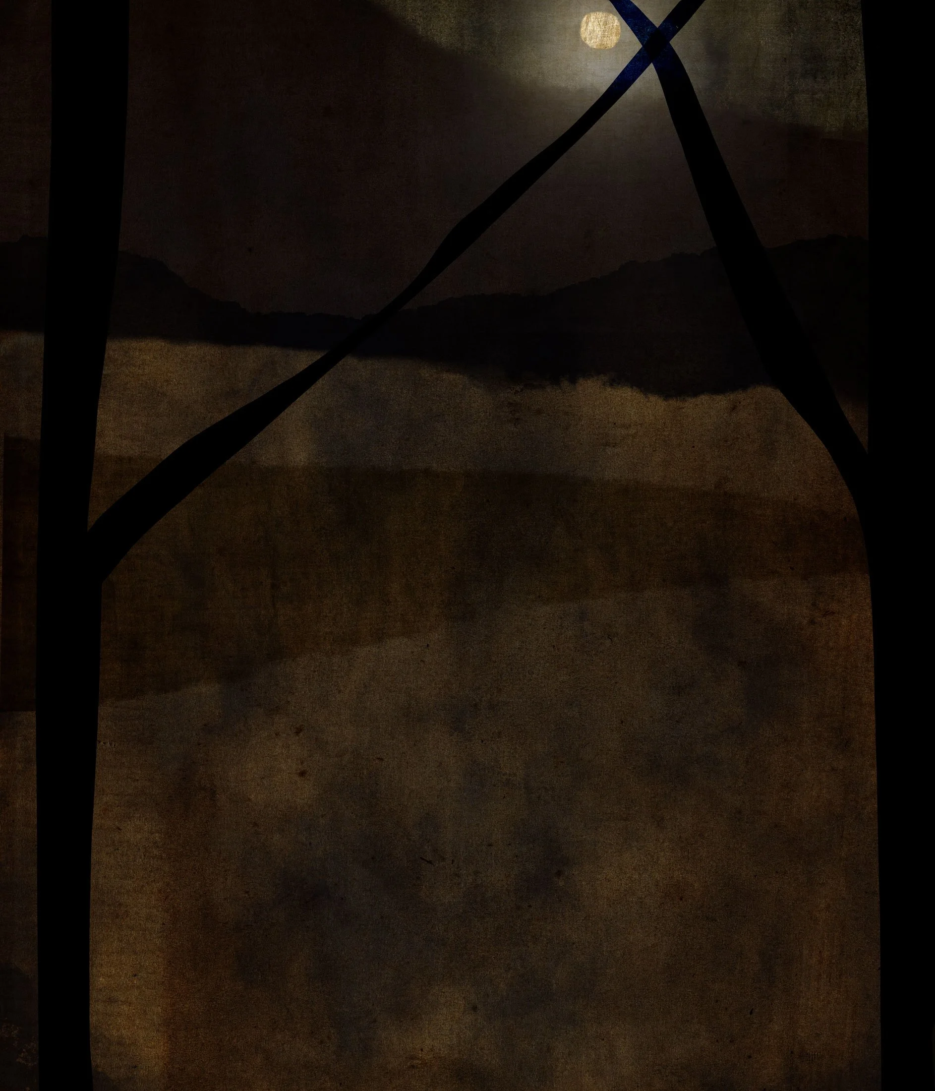 Moon Through Trees  
Photomontage  
14 x 12 inches  
2019