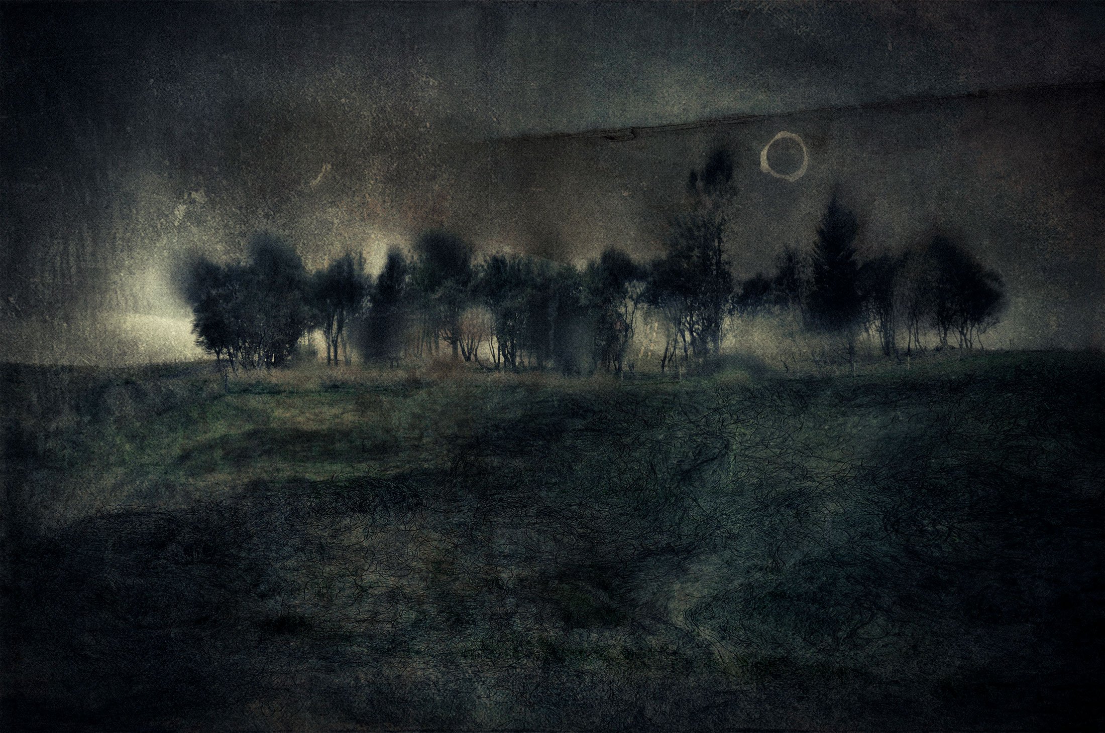The Moon Rose Over an Open Field , 2015
9.5 x 14 inches