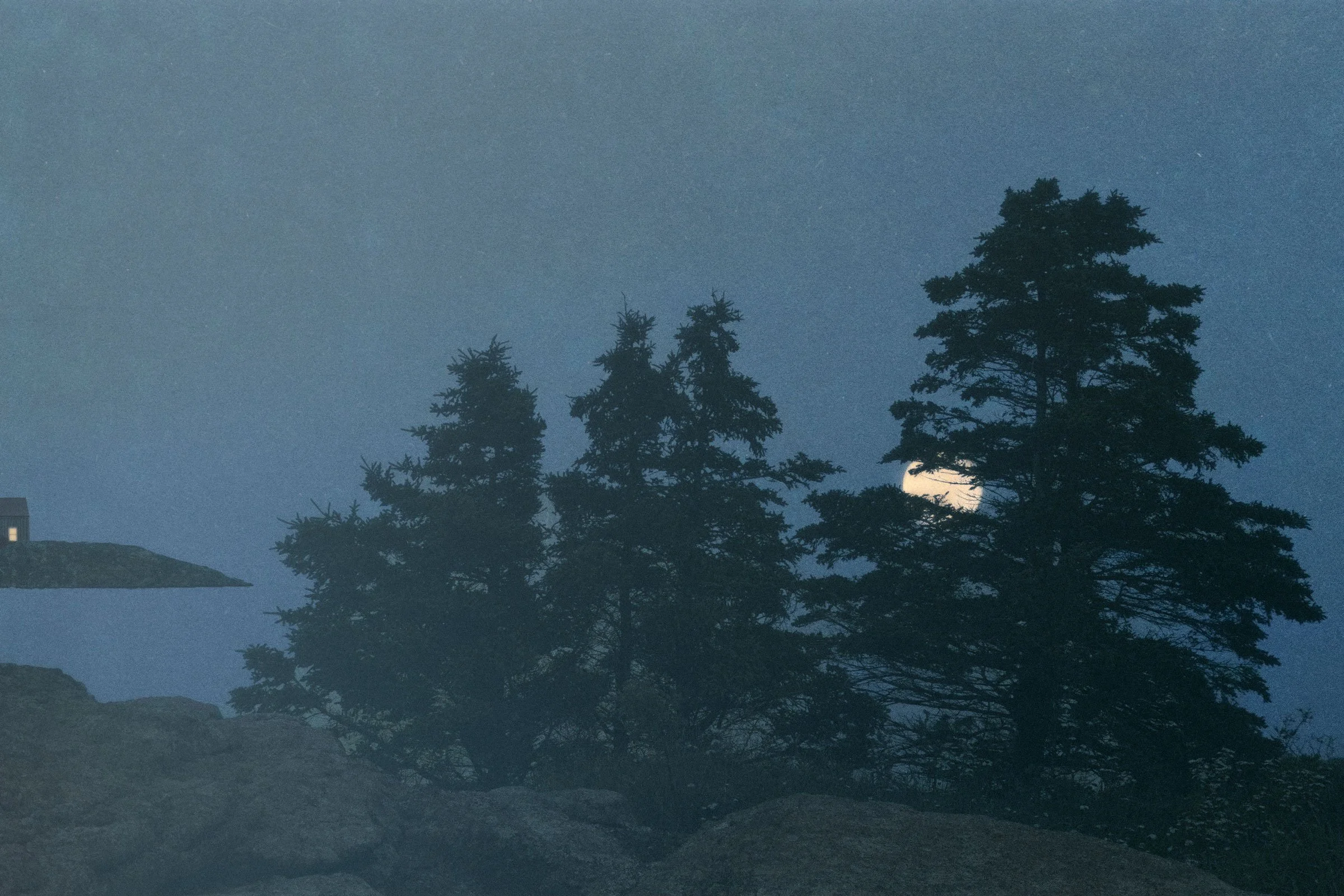 Seawatch , 2022
12 x 18 inches