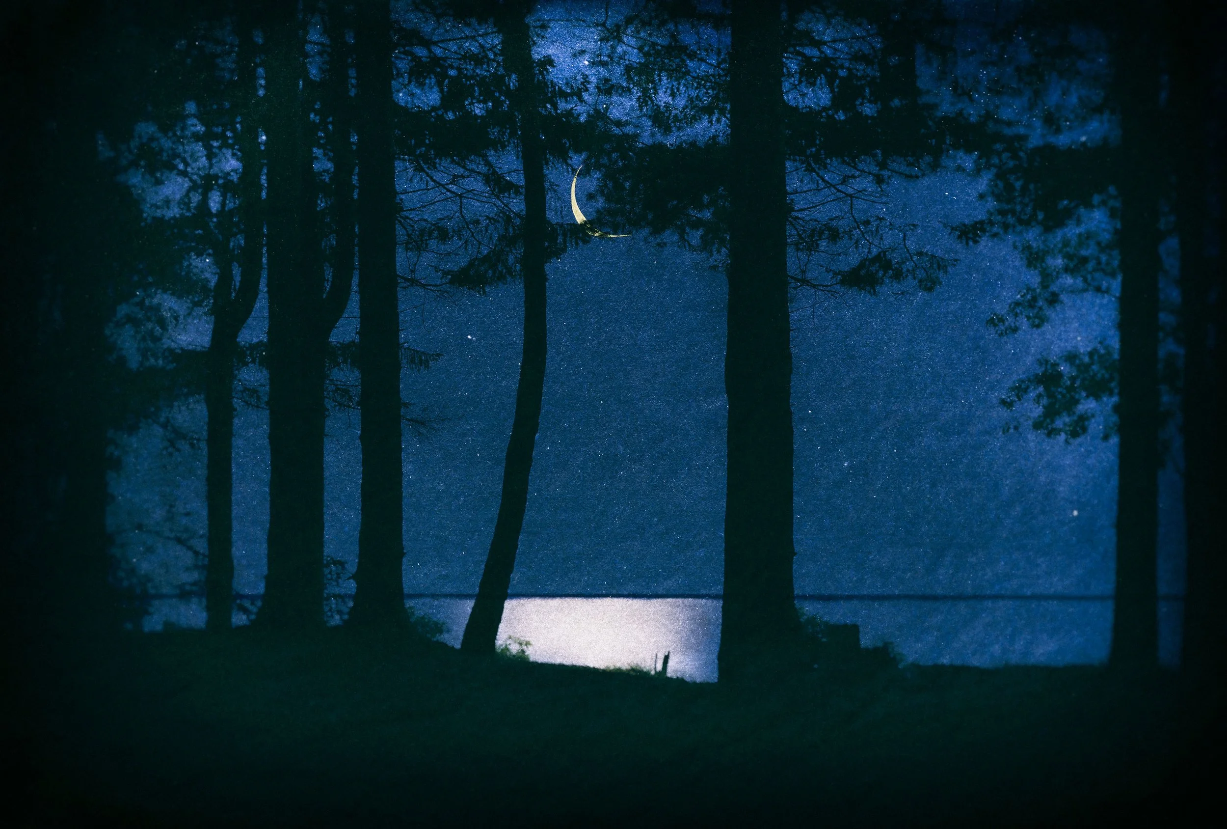 Moon Through Trees II , 2025
27 x 40 inches