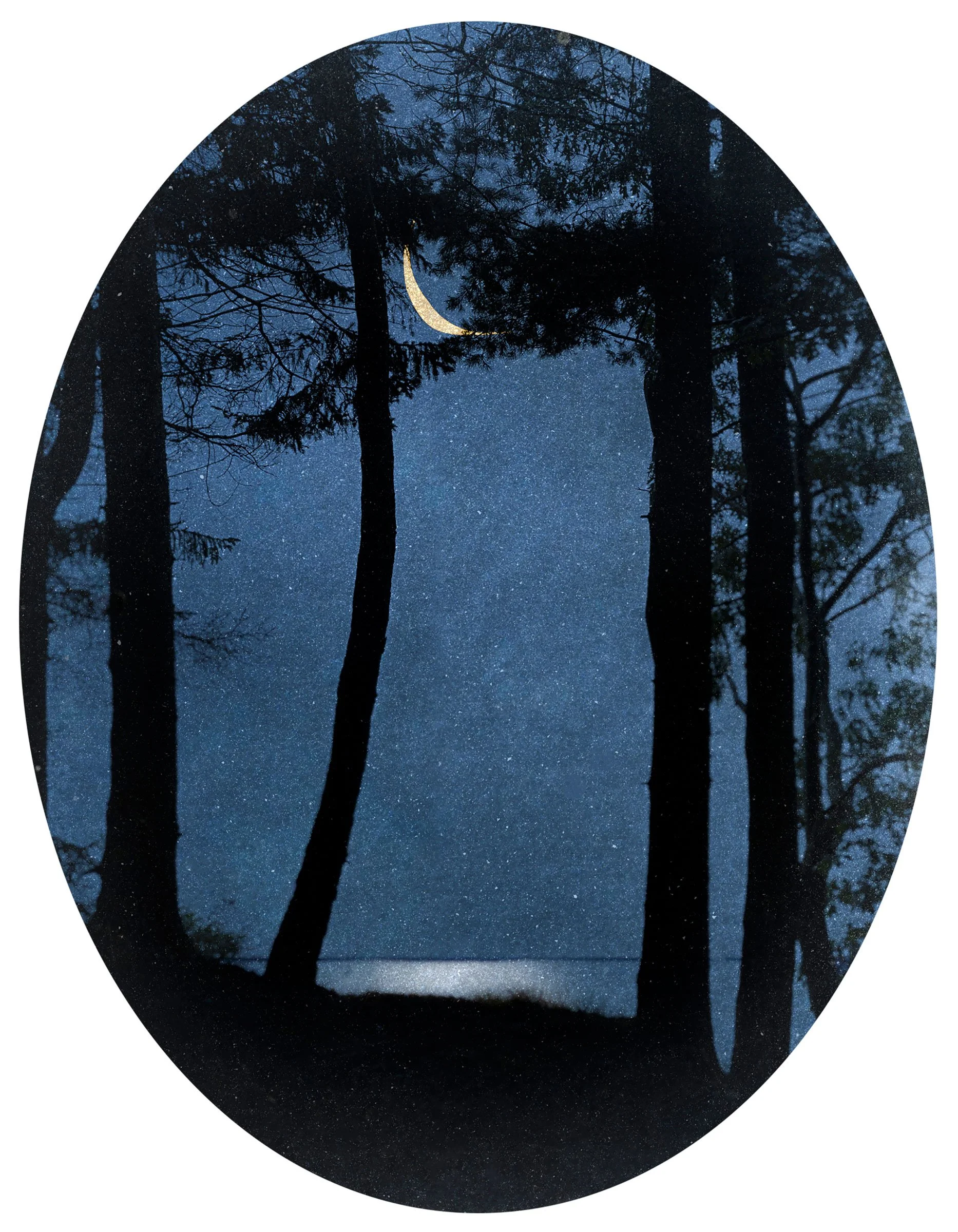 Moon Through Trees , 2024
9.5 x 7.5 inches