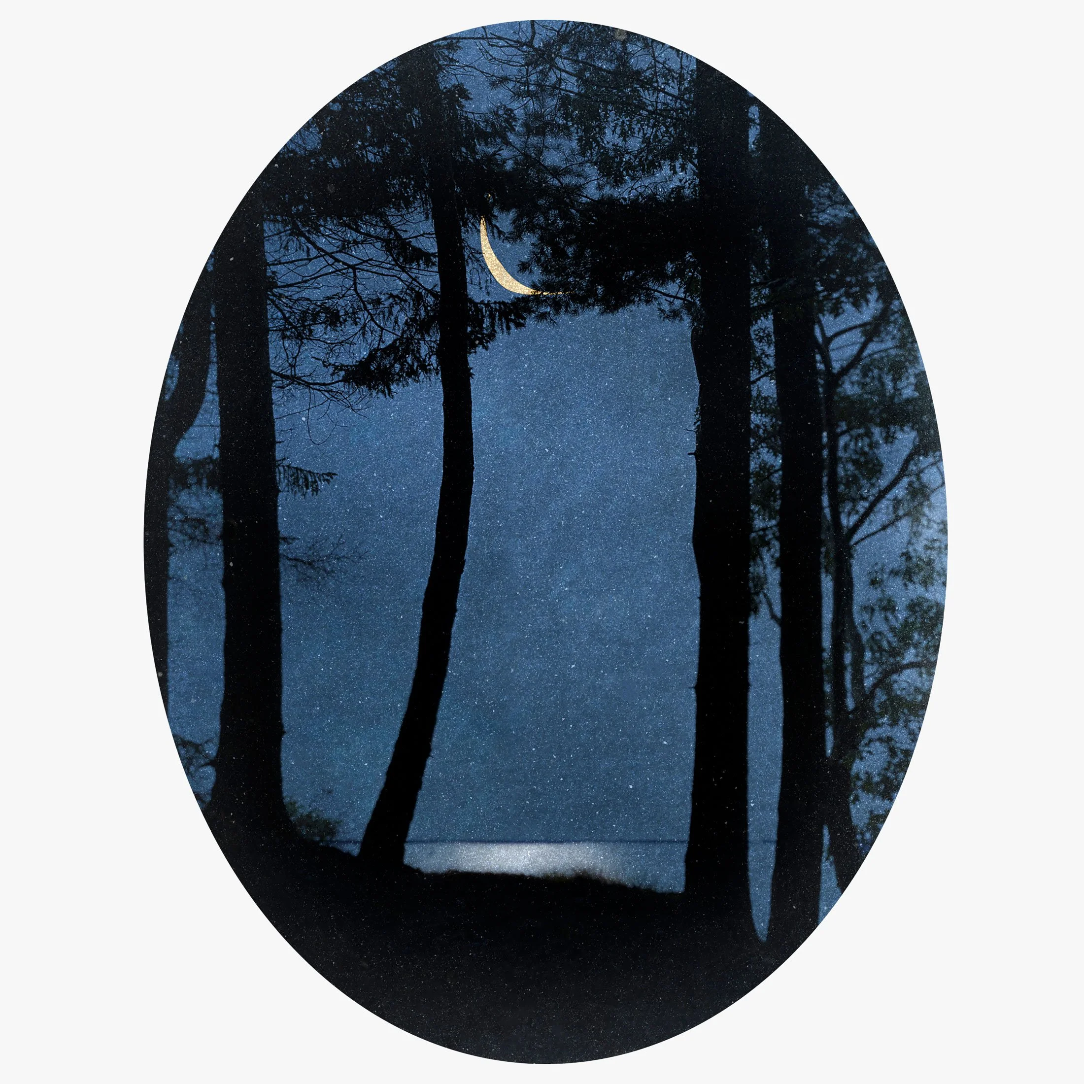 Moon Through Trees  
Photomontage  
9.5 x 7 inches  
2024