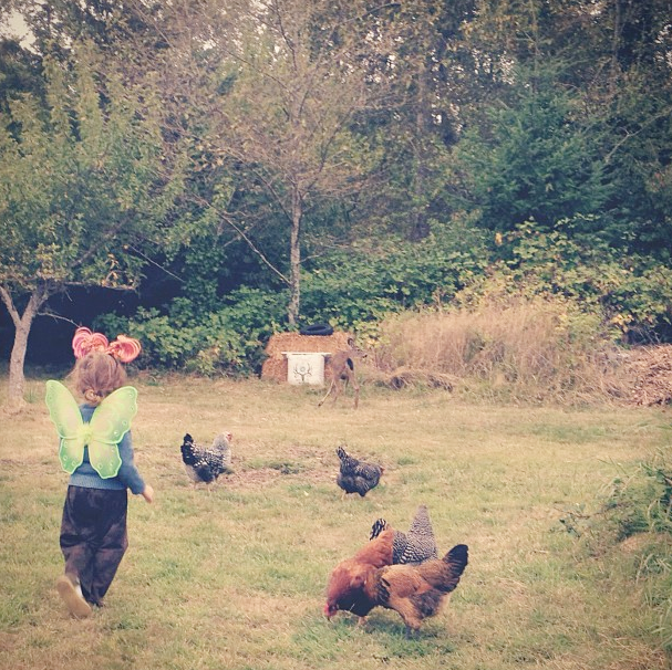 cedar faerie chickens.png