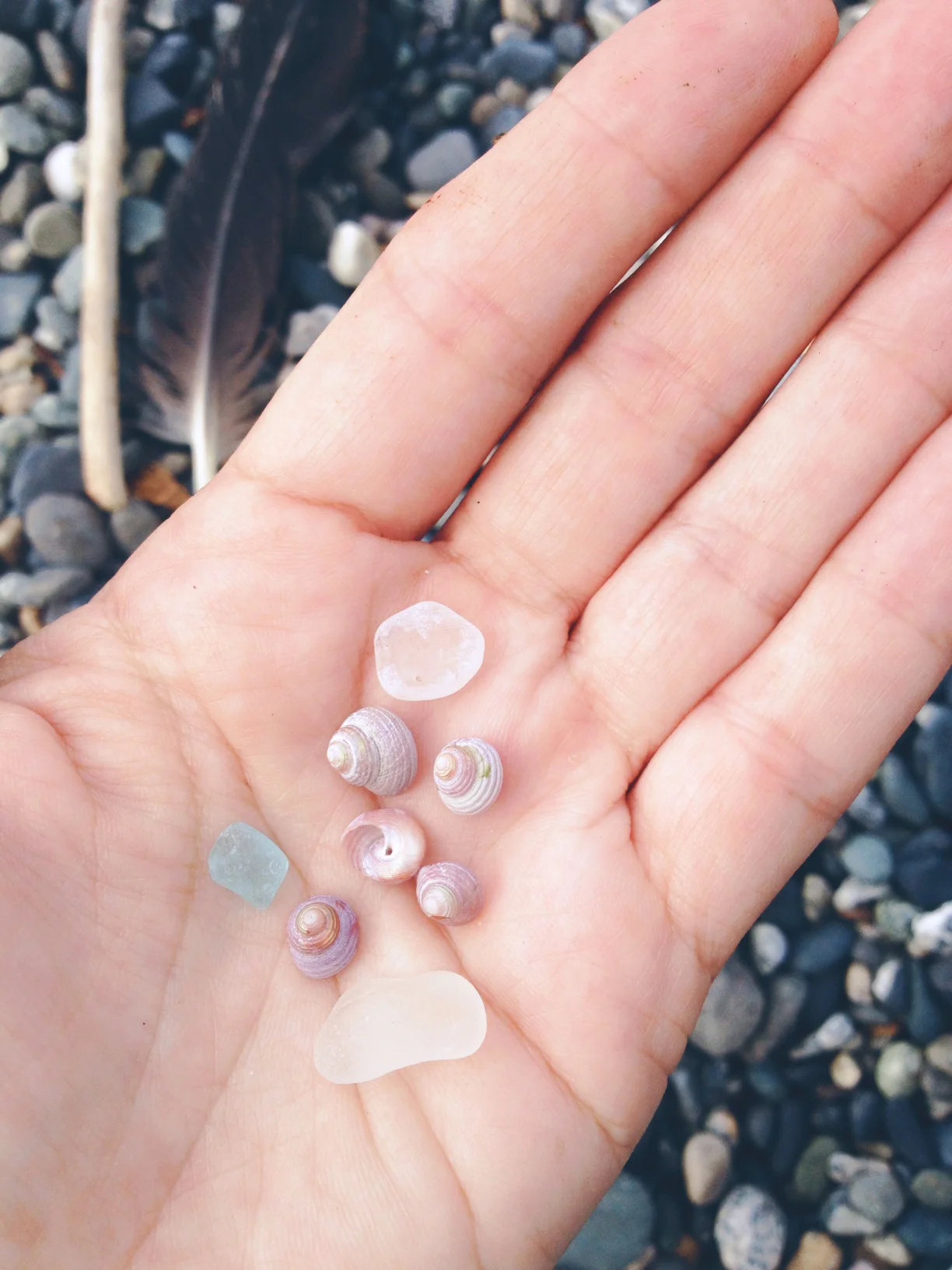 teeny tiny sea gems*