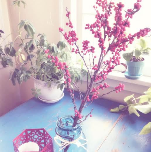 winterberries.jpg