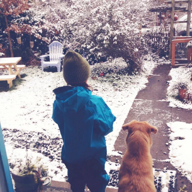 snow1.jpg