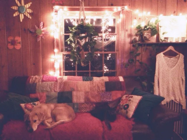twinkle lights and the coziest sweater that i could wear every day