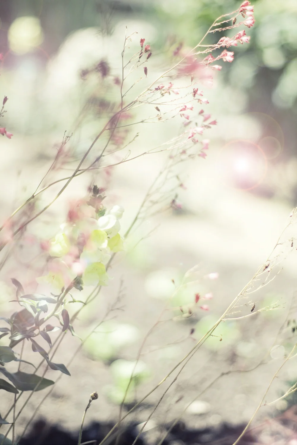 flowers_etsy1.jpg