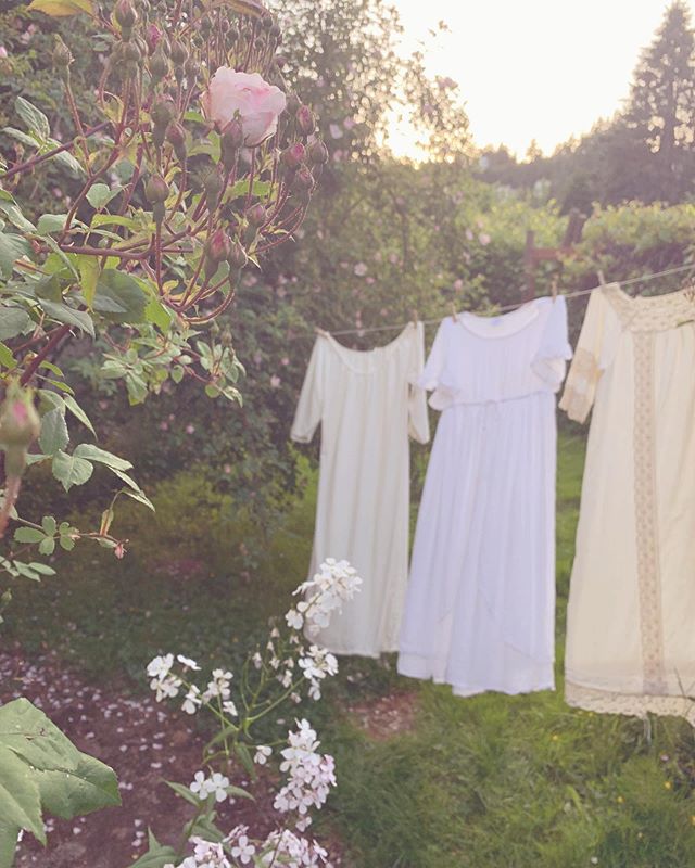 mmmm all day yesterday they were drying and today they are drenched in the fragrance of roses and wildflowers and sunshine. 🕊 #faecottage #laundry #laundrytime #clothesline