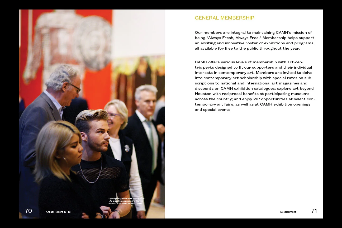 Vrlaine_AnnualReport_WebsiteLayout17.jpg