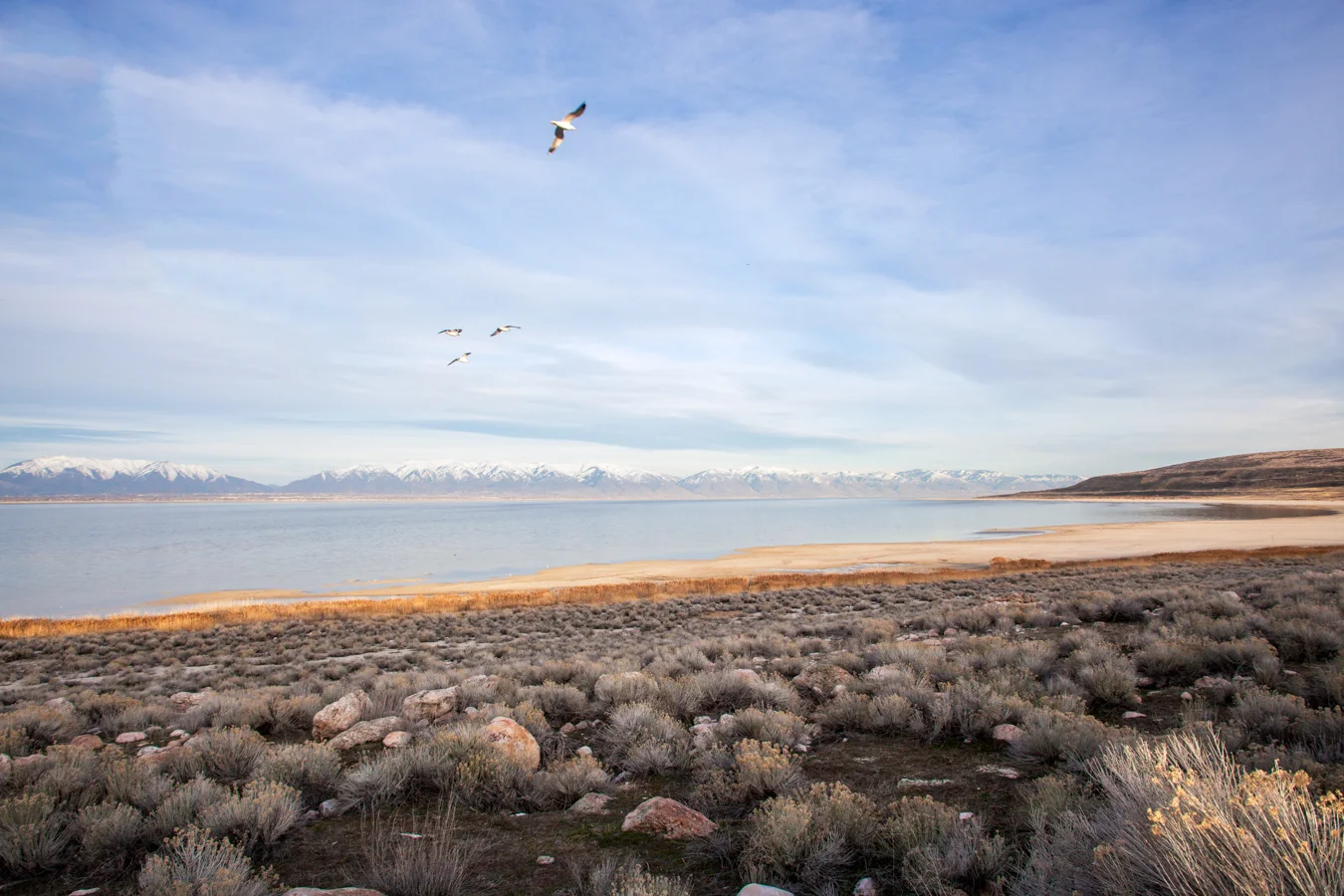 roadtrip-12.jpg