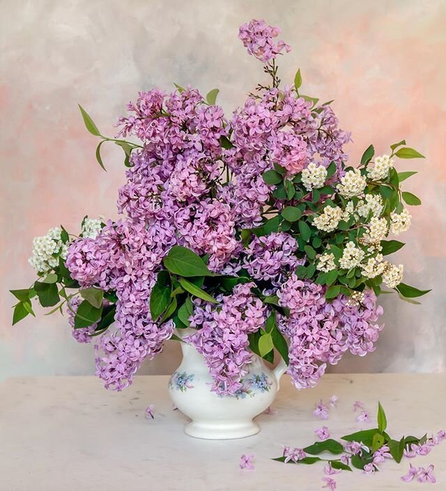 The boys helped me pick these lilacs. They were wet from the rain and impossible to style, I only had 30 min to shoot them and managed to put 3 photos together to make this one. I wish Instagram was scratch and sniff.  Something fun I read in @cultiv