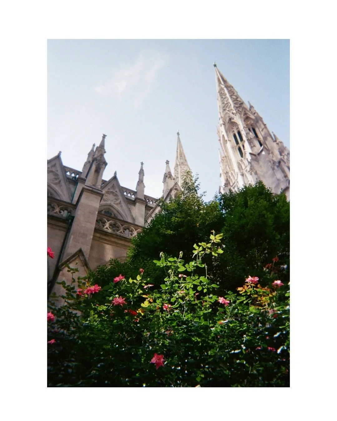 New York disposable camera dump. NYC SEPT