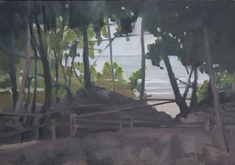 Cape Hillsborough: Wet July day