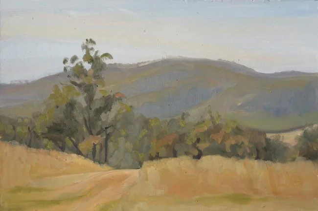 Collaroy: Ironbark Ridge study