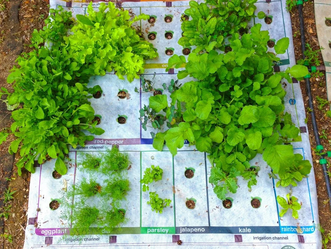 For beginners this looks like a great introduction to "Square Foot Gardening", a concept and book written by Mel Bartholomew.
