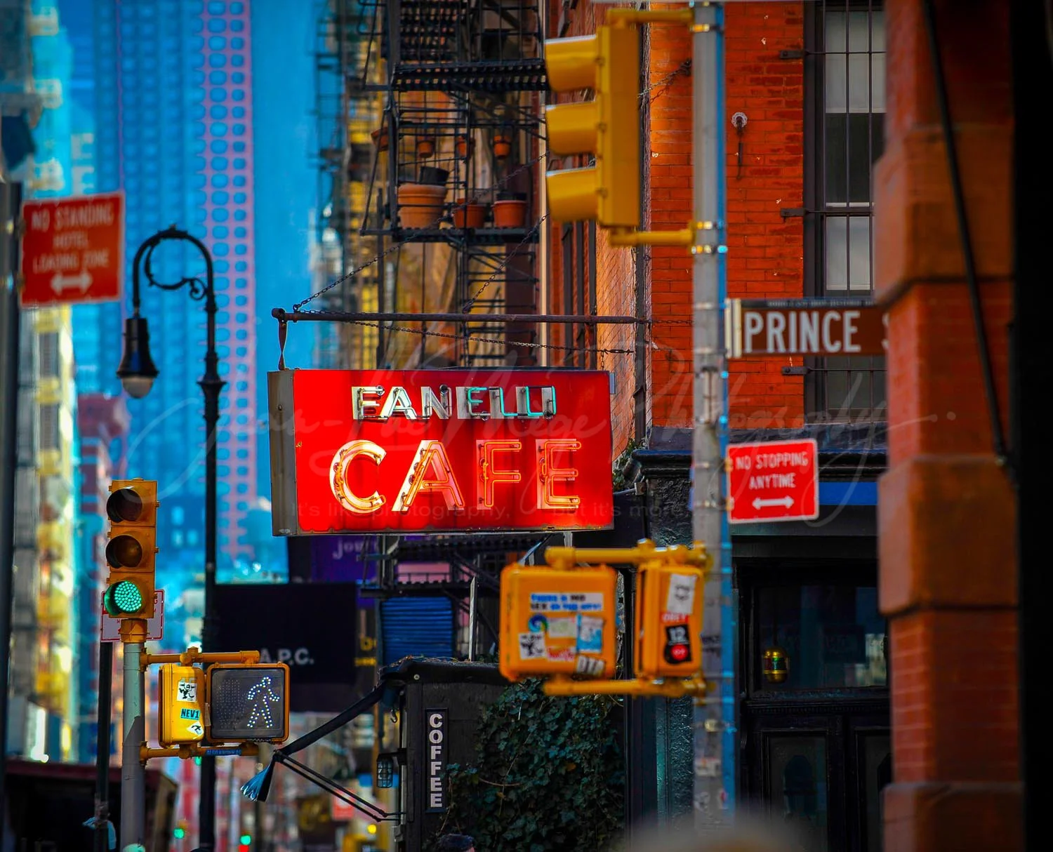 Art Fanelli-6976.jpg