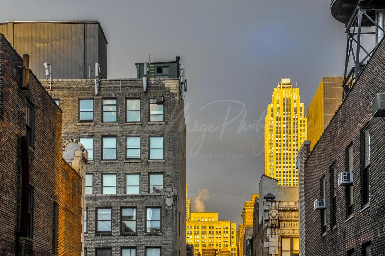 Debra office NYC©jeanlucmege-2582.jpg