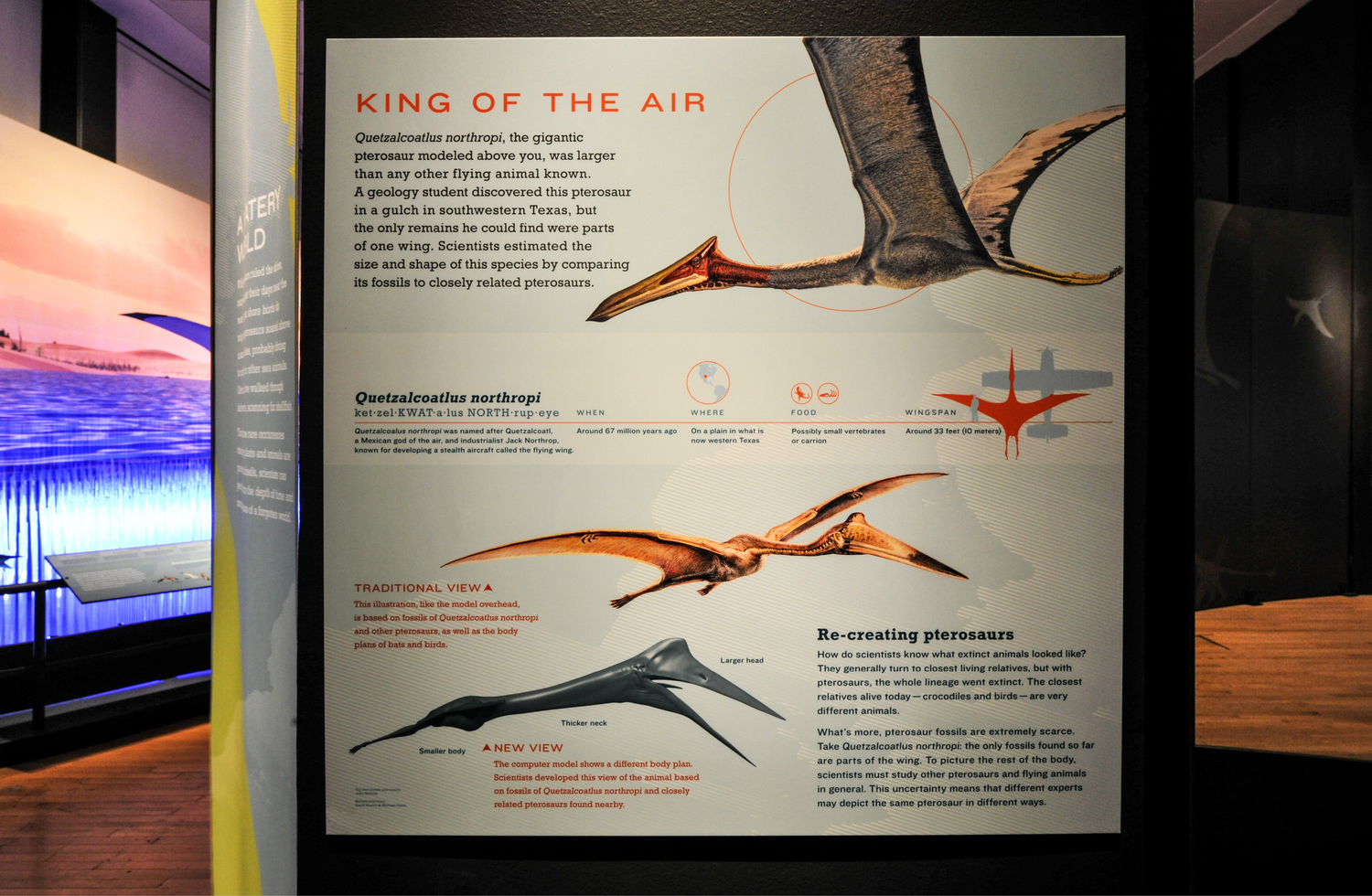 Pterosaurs Flight In The Age of Dinosaurs Exhibit Catalogue