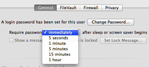 Require Password pull down menu listing out password delay times.