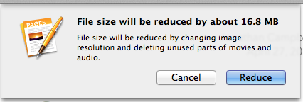 Screen shot of pop up menu that says," File Size will be reduced by about 16.8 MB. File size will be reduced by changing image resolution and deleting unused parts of movies and audio.
