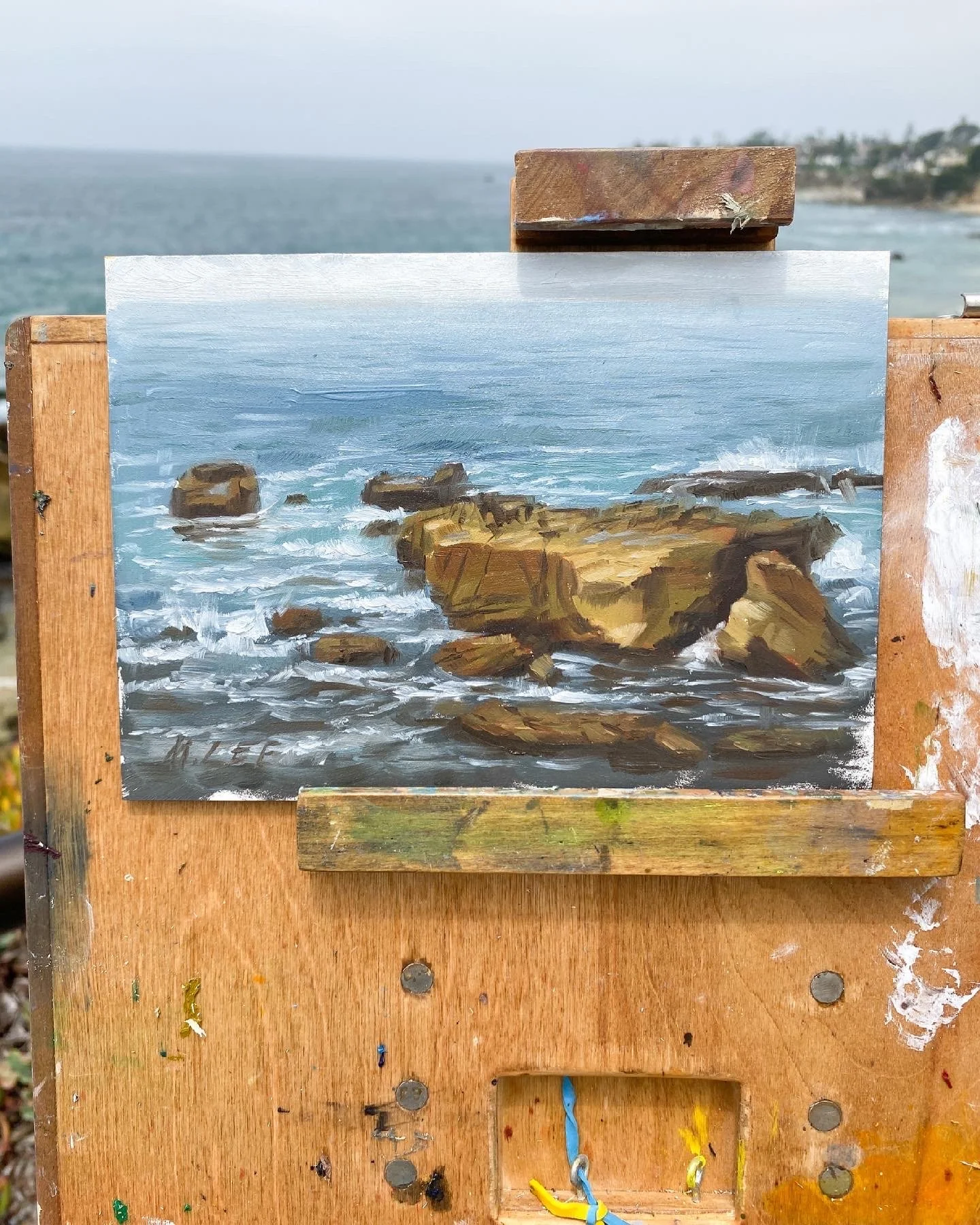 Laguna Beach Study (SOLD)