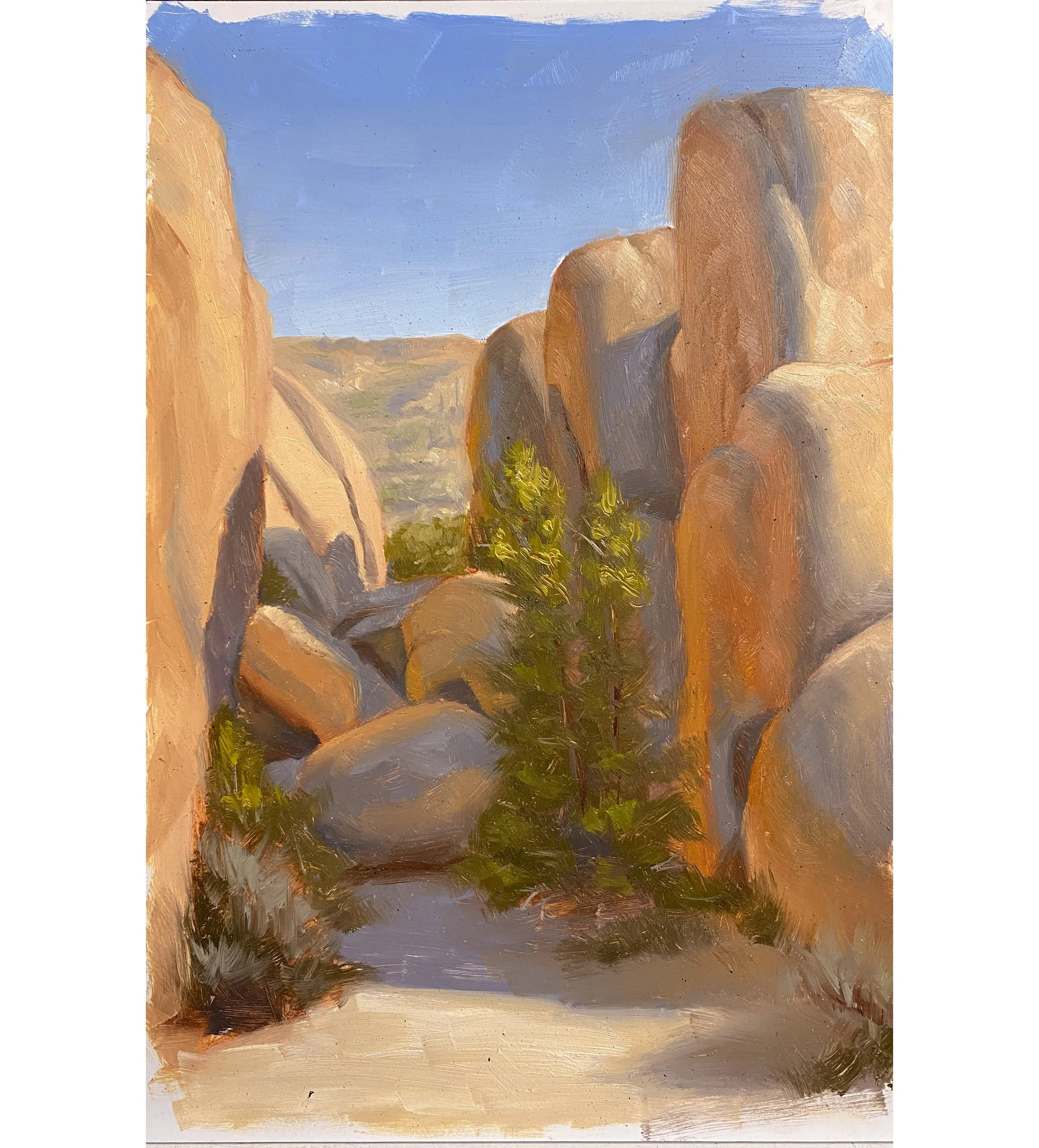 3716AFCF-7AA4-4AC3-990C-79719A45F1E5 copy.JPG