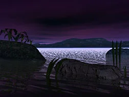 night.jpg