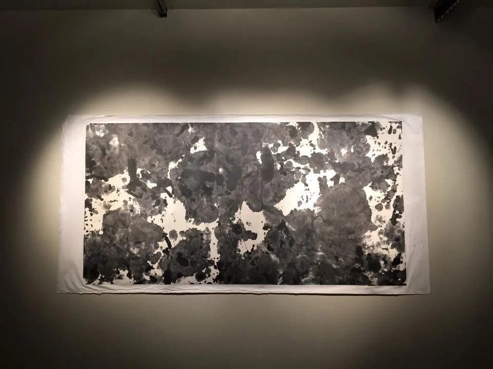 12705290_538749809639504_4467824385518929031_n.jpg